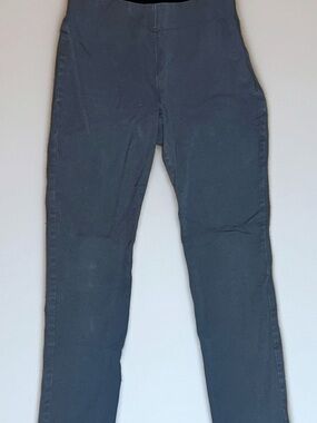 Stretch Slim Ankle Pants in Slate Blue